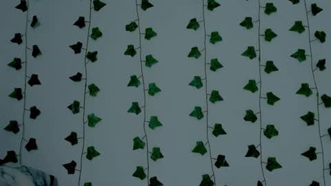 MIA online show from November 10, 2025, 10:42 pm