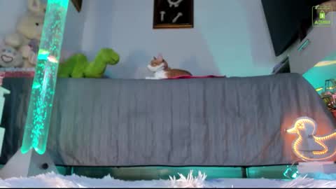 Snapshot of mia_starss chatting on November 16, 2025, 11:43 pm Mia online show from November 16, 2025, 11:43 pm