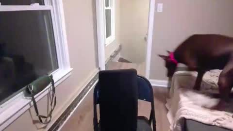 miamak online show from December 20, 2025, 2:07 am