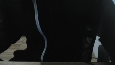 Snapshot of miamorr_ chatting on February 3, 2026, 4:43 am miamorr_ online show from February 3, 2026, 4:43 am