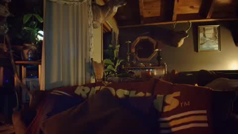 Hey Mickey online show from December 18, 2024, 10:57 pm