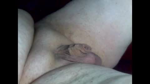 Snapshot of micropimmel chatting on February 26, 2026, 8:30 pm micropimmel online show from February 26, 2026, 8:30 pm