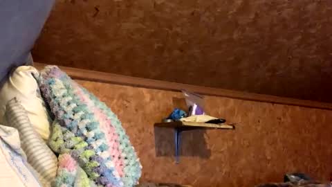 Snapshot of mikeblair5081 chatting on December 18, 2025, 2:06 am mikeblair5081 online show from December 18, 2025, 2:06 am