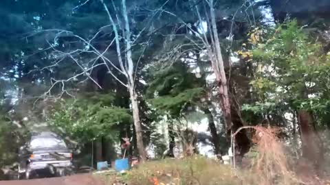 Snapshot of mikeblair5081 chatting on December 22, 2025, 7:55 pm mikeblair5081 online show from December 22, 2025, 7:55 pm