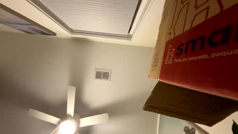 Snapshot of mikeywhite123 chatting on August 1, 2026, 7:29 am mikeywhite123 online show from August 1, 2026, 7:29 am