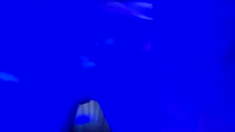 mikie19891 online show from November 16, 2025, 3:01 am