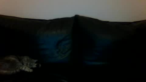 MilaGabor online show from November 16, 2025, 6:24 pm