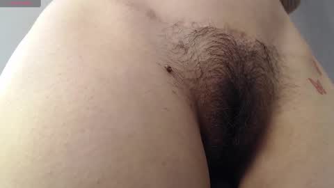 Snapshot of milker_amira chatting on February 25, 2025, 4:31 pm Amira online show from February 25, 2025, 4:31 pm