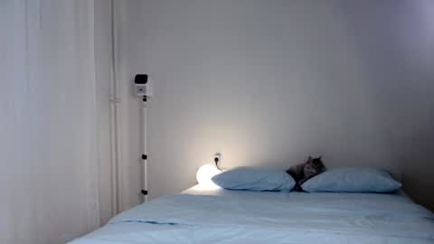 milky__way_ online show from January 9, 2025, 1:35 pm