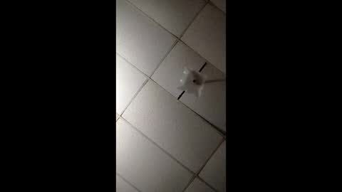 Snapshot of miloanj chatting on November 7, 2025, 4:45 am miloanj online show from November 7, 2025, 4:45 am