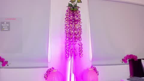 Snapshot of milu_beluci chatting on January 30, 2025, 3:08 pm Milu Belucci online show from January 30, 2025, 3:08 pm