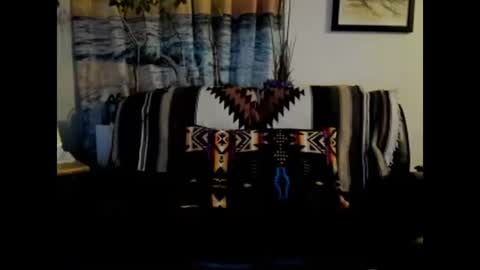 mindphuk online show from January 4, 2025, 4:55 am