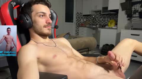 Snapshot of mingardium chatting on January 17, 2026, 8:12 pm online show from January 17, 2026, 8:12 pm