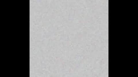 miniorganismo online show from December 14, 2025, 11:09 pm