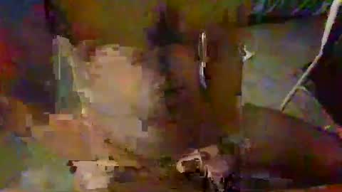 Snapshot of minoas31 chatting on December 9, 2024, 6:46 pm minoas31 online show from December 9, 2024, 6:46 pm