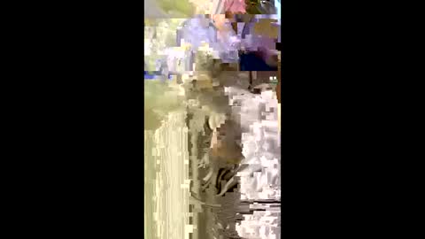 Snapshot of misnicol chatting on January 5, 2026, 7:50 pm Nicol online show from January 5, 2026, 7:50 pm