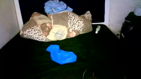 Snapshot of misscuteberry chatting on January 7, 2026, 8:39 am VAL online show from January 7, 2026, 8:39 am