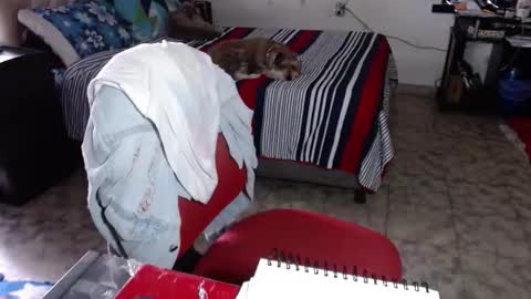 Snapshot of missgomezz_ chatting on February 2, 2026, 5:33 pm Maria Gomezz online show from February 2, 2026, 5:33 pm