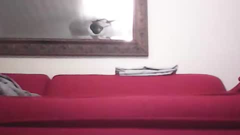 Snapshot of misshollywoodbaby chatting on September 14, 2025, 11:48 pm misshollywoodbaby online show from September 14, 2025, 11:48 pm