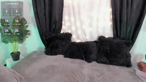 Alejandra  online show from December 6, 2024, 1:44 pm