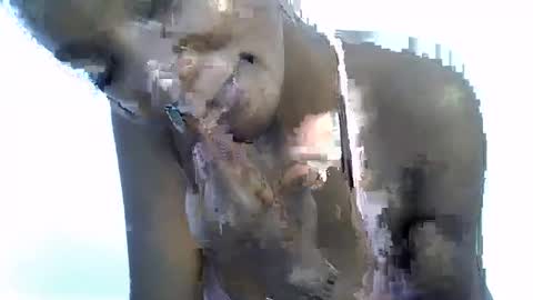 Snapshot of missmisbehave_irl chatting on January 19, 2026, 10:30 am sexy online show from January 19, 2026, 10:30 am