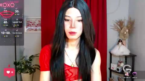 Stella online show from November 17, 2025, 7:36 am