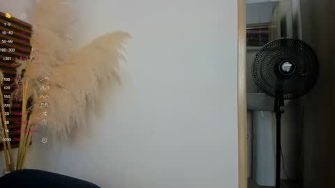 missvalery1 online show from January 14, 2025, 9:20 pm