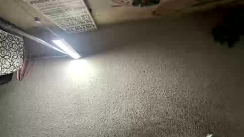 Snapshot of mister_nasty chatting on January 12, 2026, 6:57 pm mister_nasty online show from January 12, 2026, 6:57 pm