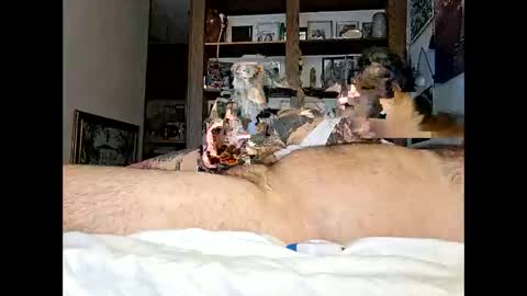 Snapshot of mnkfun4u chatting on February 15, 2026, 7:43 pm Kittykittybangbang online show from February 15, 2026, 7:43 pm