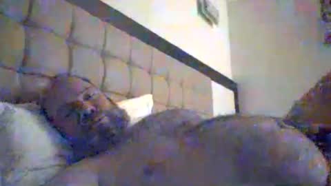 Snapshot of mofu781s chatting on January 8, 2026, 8:55 pm mofu781s online show from January 8, 2026, 8:55 pm