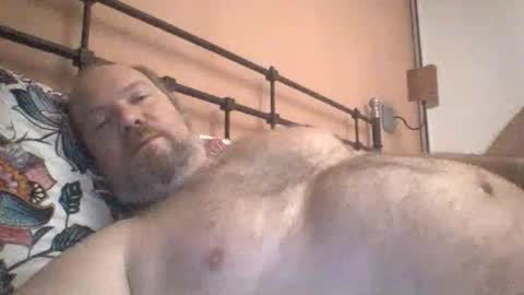 Snapshot of mofu781s chatting on February 3, 2026, 7:24 am mofu781s online show from February 3, 2026, 7:24 am