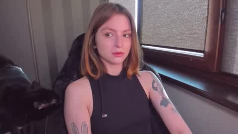 Snapshot of mollydangerous chatting on November 22, 2025, 9:41 am Taisha online show from November 22, 2025, 9:41 am