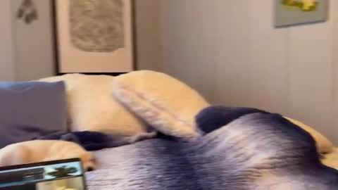 Snapshot of mommamia12 chatting on January 6, 2025, 2:58 pm Mia online show from January 6, 2025, 2:58 pm