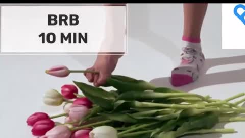 Mommy online show from October 15, 2025, 2:22 am