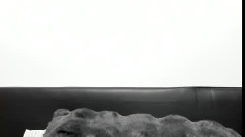 Snapshot of monicacure chatting on October 27, 2025, 3:16 pm monicacure online show from October 27, 2025, 3:16 pm