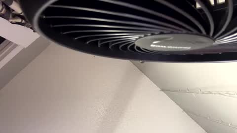 Monica online show from December 9, 2024, 5:19 pm