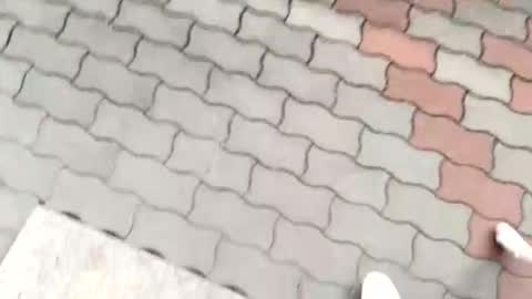 Snapshot of moos1 chatting on September 12, 2025, 12:16 pm moos1 online show from September 12, 2025, 12:16 pm