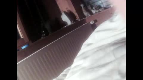 Snapshot of moos1 chatting on September 16, 2025, 6:42 pm moos1 online show from September 16, 2025, 6:42 pm