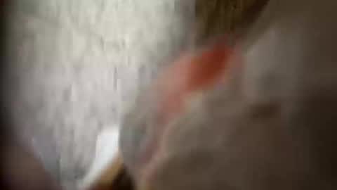 Snapshot of moos1 chatting on September 25, 2025, 12:25 am moos1 online show from September 25, 2025, 12:25 am