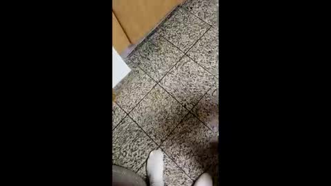 Snapshot of moos1 chatting on October 4, 2025, 4:10 am moos1 online show from October 4, 2025, 4:10 am