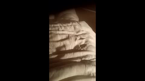 Snapshot of moos1 chatting on October 15, 2025, 7:03 pm moos1 online show from October 15, 2025, 7:03 pm