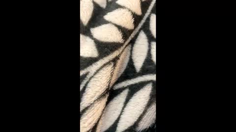 Snapshot of morgzgiorgi chatting on March 21, 2026, 2:27 am Morgan Gina online show from March 21, 2026, 2:27 am