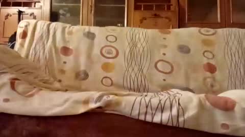 Nomadu online show from December 11, 2024, 8:04 am