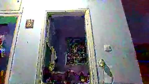 mppempis81 online show from January 17, 2026, 3:50 pm