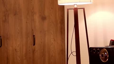 Mr Evans online show from October 29, 2025, 3:47 pm