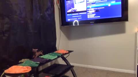 whateveryouwant online show from January 3, 2025, 9:58 am