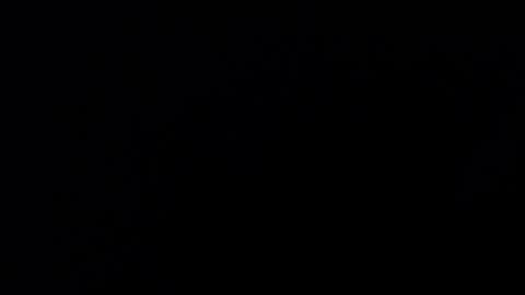 mrbillxxx online show from April 14, 2026, 12:22 pm