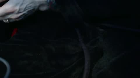 Snapshot of mrf388 chatting on February 8, 2026, 3:15 pm IwantU2WatchME online show from February 8, 2026, 3:15 pm