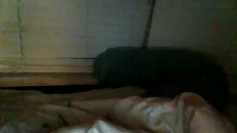 mrgray11xxx aussie online show from December 20, 2024, 2:38 pm