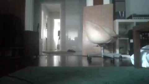 Snapshot of mrhandsomelovee chatting on February 4, 2026, 7:03 am Nikola online show from February 4, 2026, 7:03 am